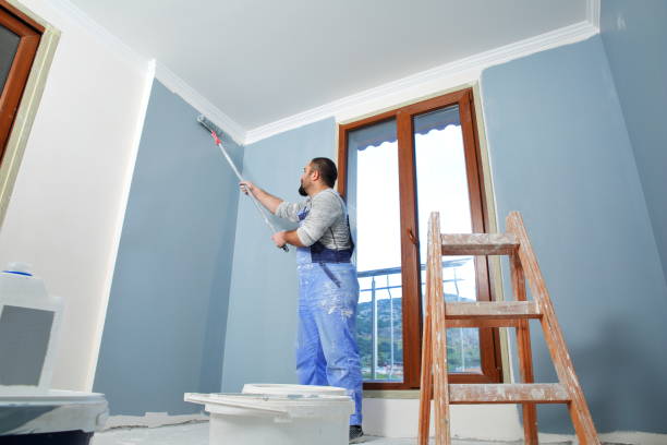Best Basement Mold Removal  in Sparta, NC